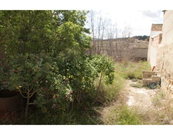 5966img8018