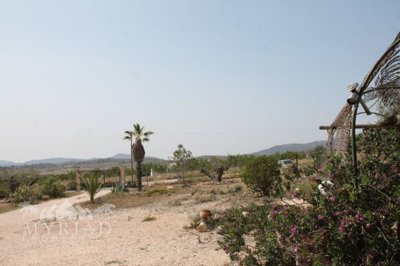 6034img8689
