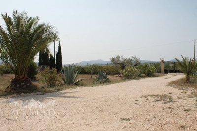 6034img8697