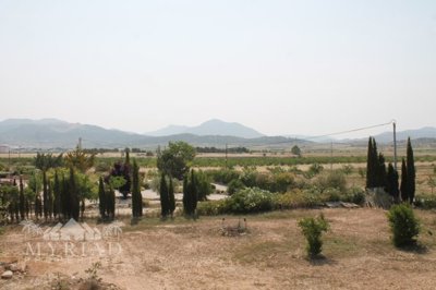 6034img8723