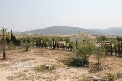 6034img8724