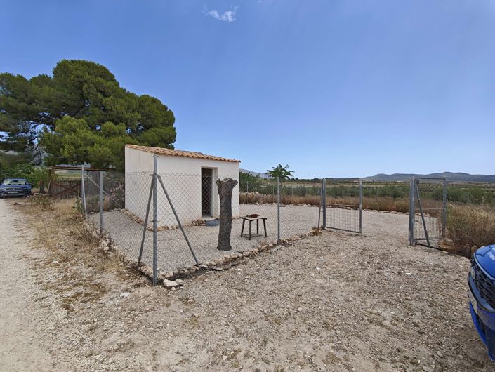 Image No.10-3 Bed Finca for sale