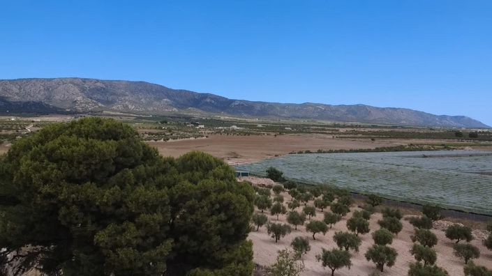 Image No.5-3 Bed Finca for sale