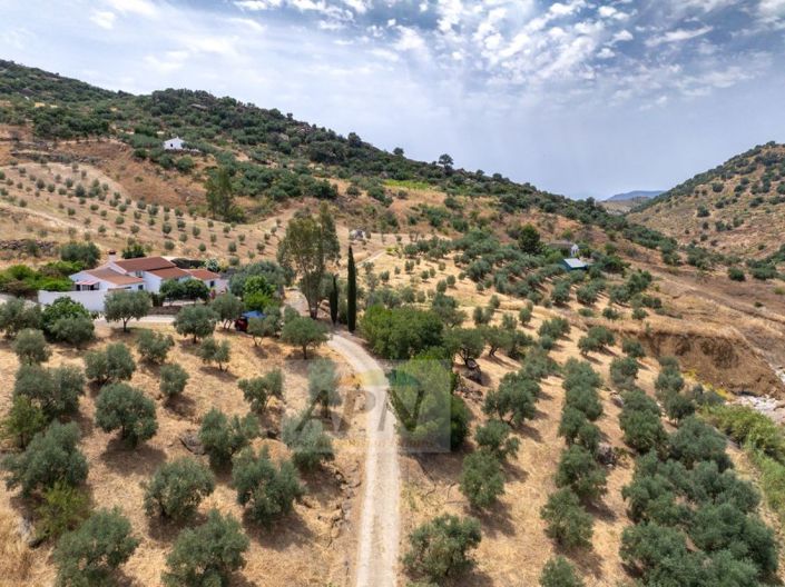Image No.37-3 Bed Country House for sale