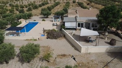 villa-sax-dm5099-4