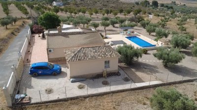 villa-sax-dm5099-6