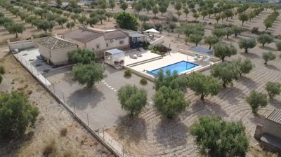 villa-sax-dm5099-7