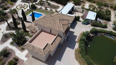 villa-pinoso-dm51000-12
