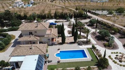 villa-pinoso-dm51000-13