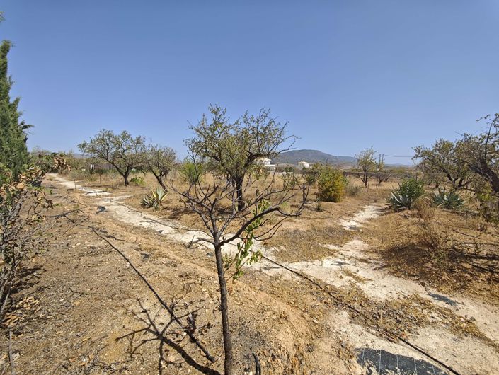 Image No.47-5 Bed Villa for sale