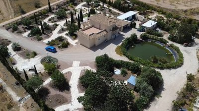 villa-pinoso-dm51000-6