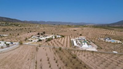 villa-pinoso-dm51000-7