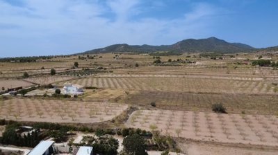 villa-pinoso-dm51000-9