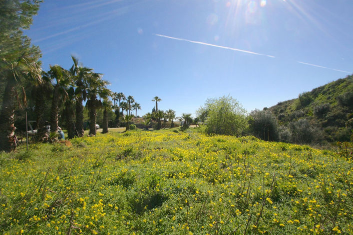 Image No.40-8 Bed Villa for sale