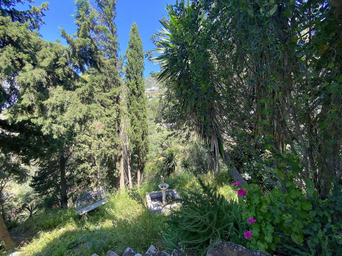 Image No.24-5 Bed Finca for sale