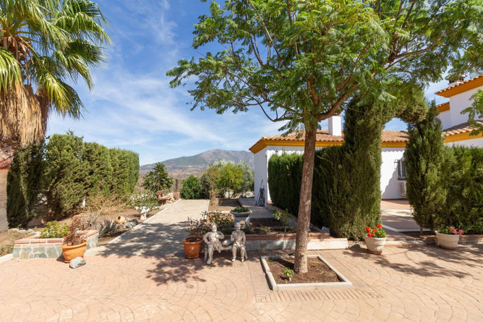 Image No.3-Finca de 4 chambres à vendre à Malaga