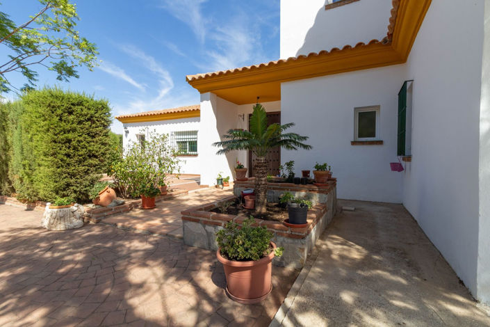 Image No.8-Finca de 4 chambres à vendre à Malaga