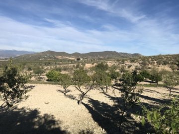 305-for-sale-in-lorca-3956-large