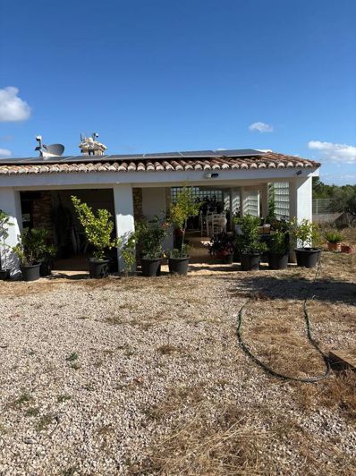 Image No.44-Maison de campagne de 1 chambre à vendre à Valencia