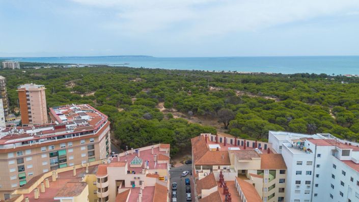 Image No.26-Appartement de 1 chambre à vendre à Guardamar del Segura