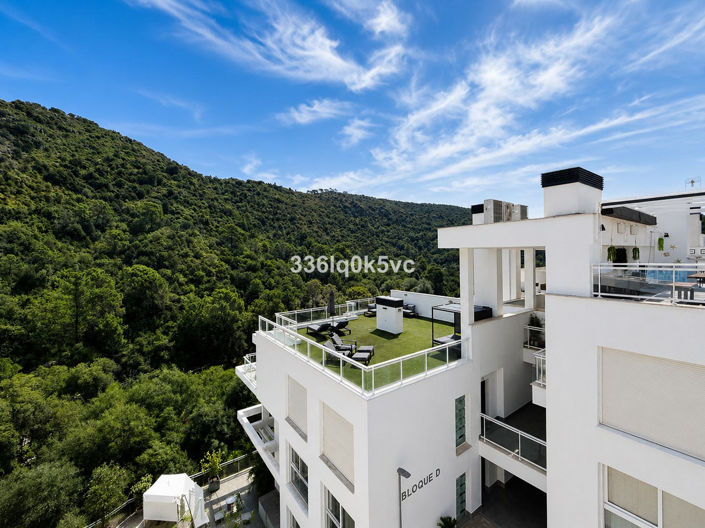 Image No.40-3 Bed Penthouse for sale