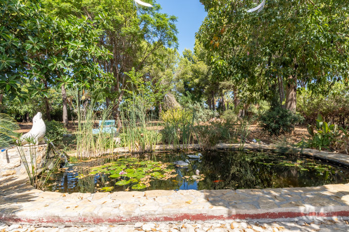 Image No.50-6 Bed Country House for sale