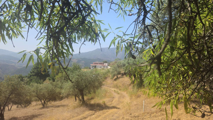 Image No.27-2 Bed Villa for sale