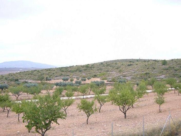 Image No.19-4 Bed Villa for sale