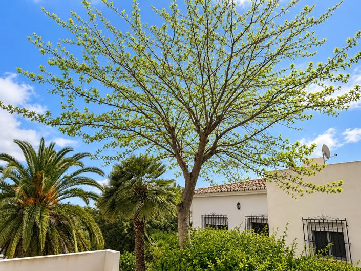 Image No.24-Villa de 4 chambres à vendre à Javea