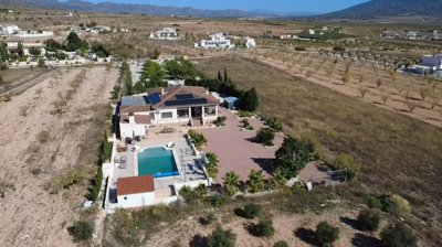 villa-pinoso-dm5102-2