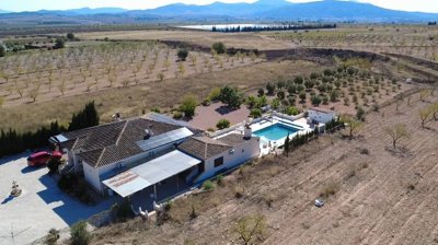 villa-pinoso-dm5102-3