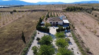villa-pinoso-dm5102-4