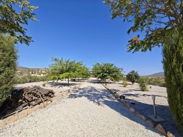 villa-pinoso-dm5102-6