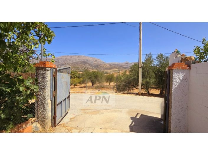 Image No.50-5 Bed Country House for sale