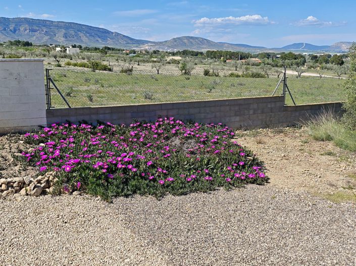 Image No.8-4 Bed Country House for sale