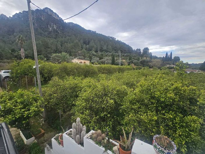 Image No.43-3 Bed Country House for sale