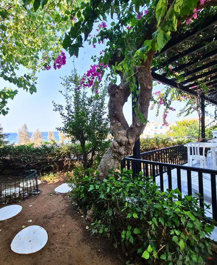 Image No.28-Maison de 3 chambres à vendre à Kapparis