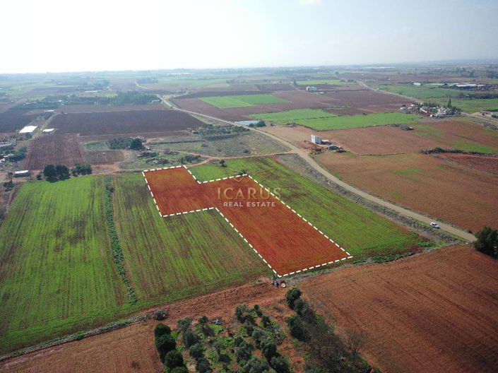 Image No.2-Terre à vendre à Avgorou