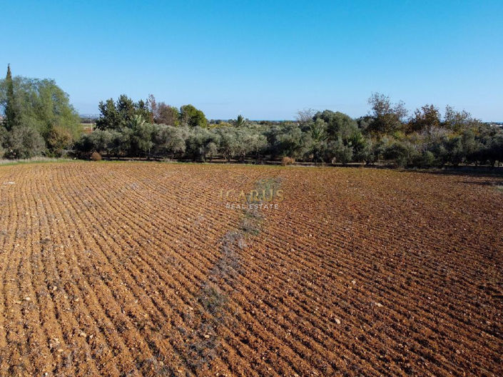 Image No.4-Land for sale