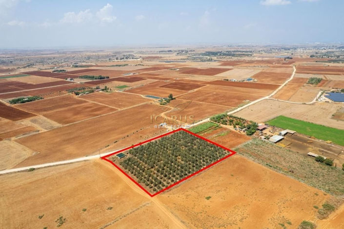 Image No.2-Land for sale