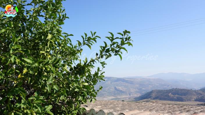 Image No.7-Maison de ville de 2 chambres à vendre à Ventorros de Balerma