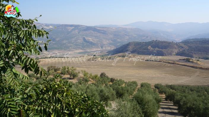 Image No.21-Maison de ville de 2 chambres à vendre à Ventorros de Balerma
