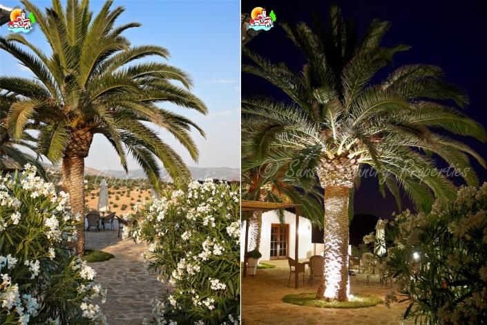 Image No.47-Commercial de 12 chambres à vendre à Iznájar