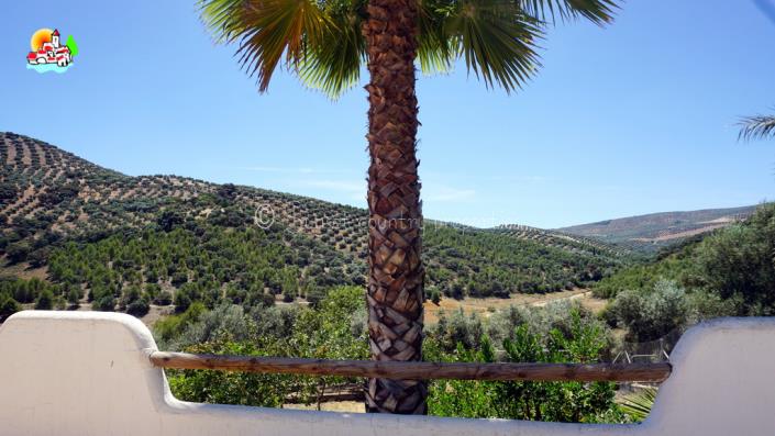 Image No.15-Propriété de pays de 4 chambres à vendre à Iznájar