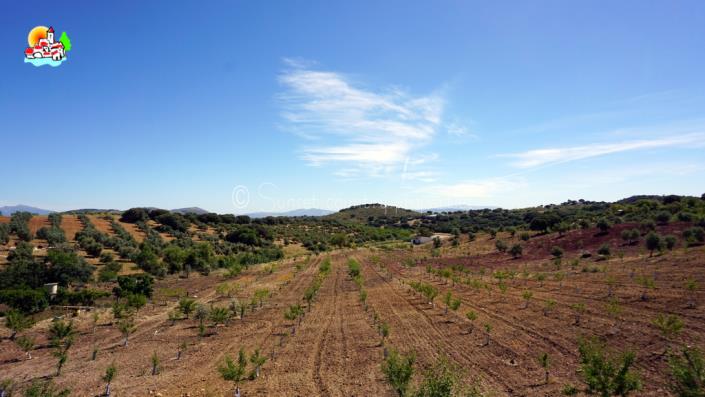 Image No.35-Villa / Détaché de 3 chambres à vendre à Villanueva de Tapia