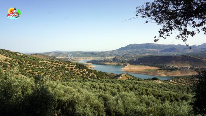 Image No.4-6 Bed Country Property for sale