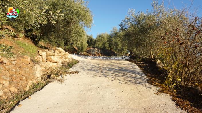 Image No.42-4 Bed Country Property for sale