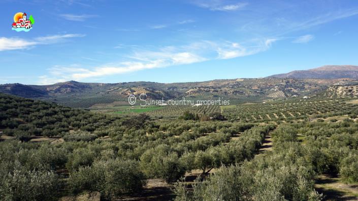 Image No.24-Maison de campagne de 4 chambres à vendre à Algarinejo