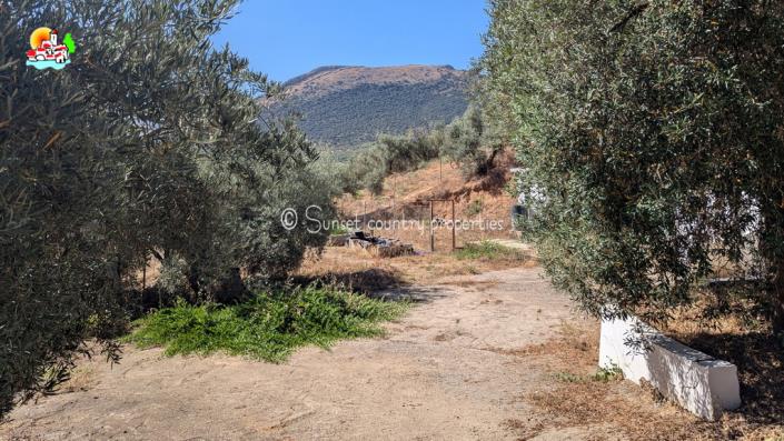 Image No.41-Propriété de pays de 2 chambres à vendre à Fuente Camacho