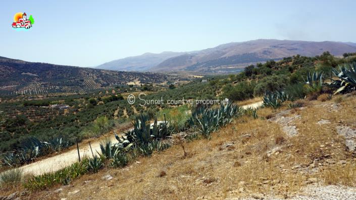 Image No.24-Propriété de pays de 2 chambres à vendre à Loja